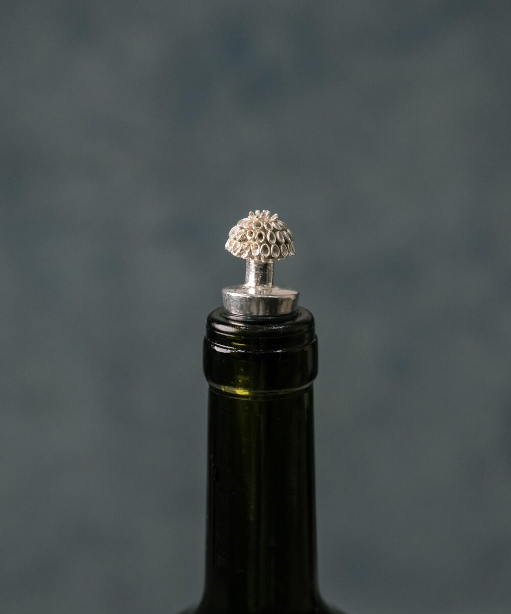 Tapa Vino Erizo - Imagen 4